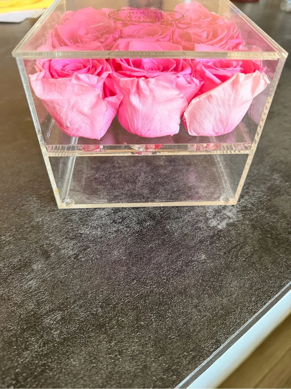 Venus et fleur pink 9 eternity roses in plastic container